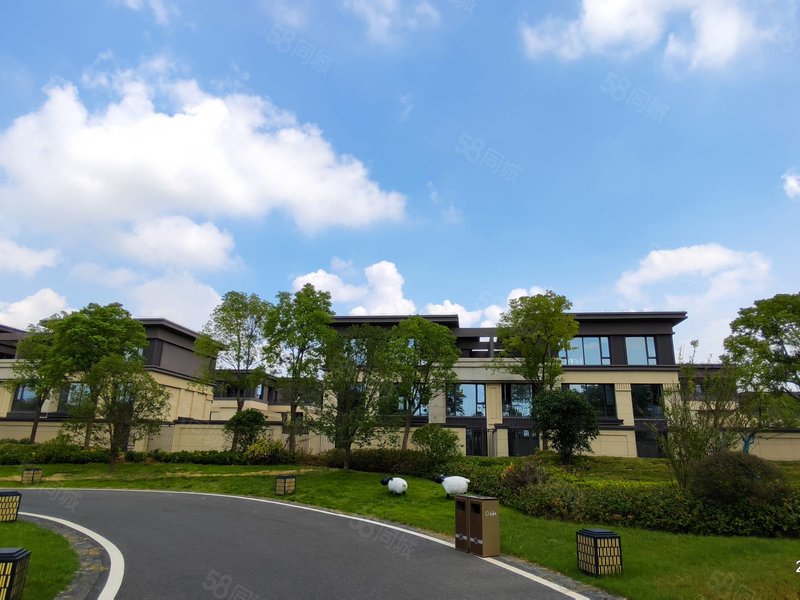 蔡甸后官湖畔 南向看湖联排双拼别墅 3号线文岭站口!