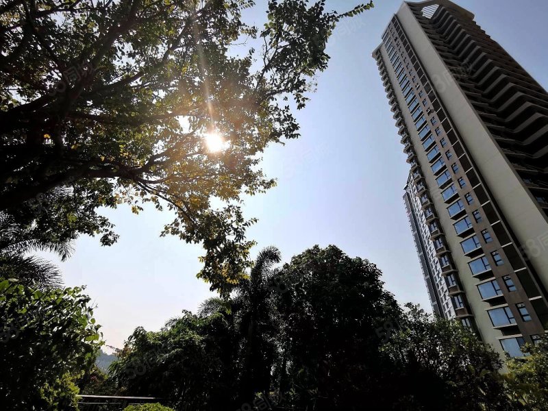 湾仔峰景湾两梯两户带9米大阳台3房看小区园林安静舒适现楼各付