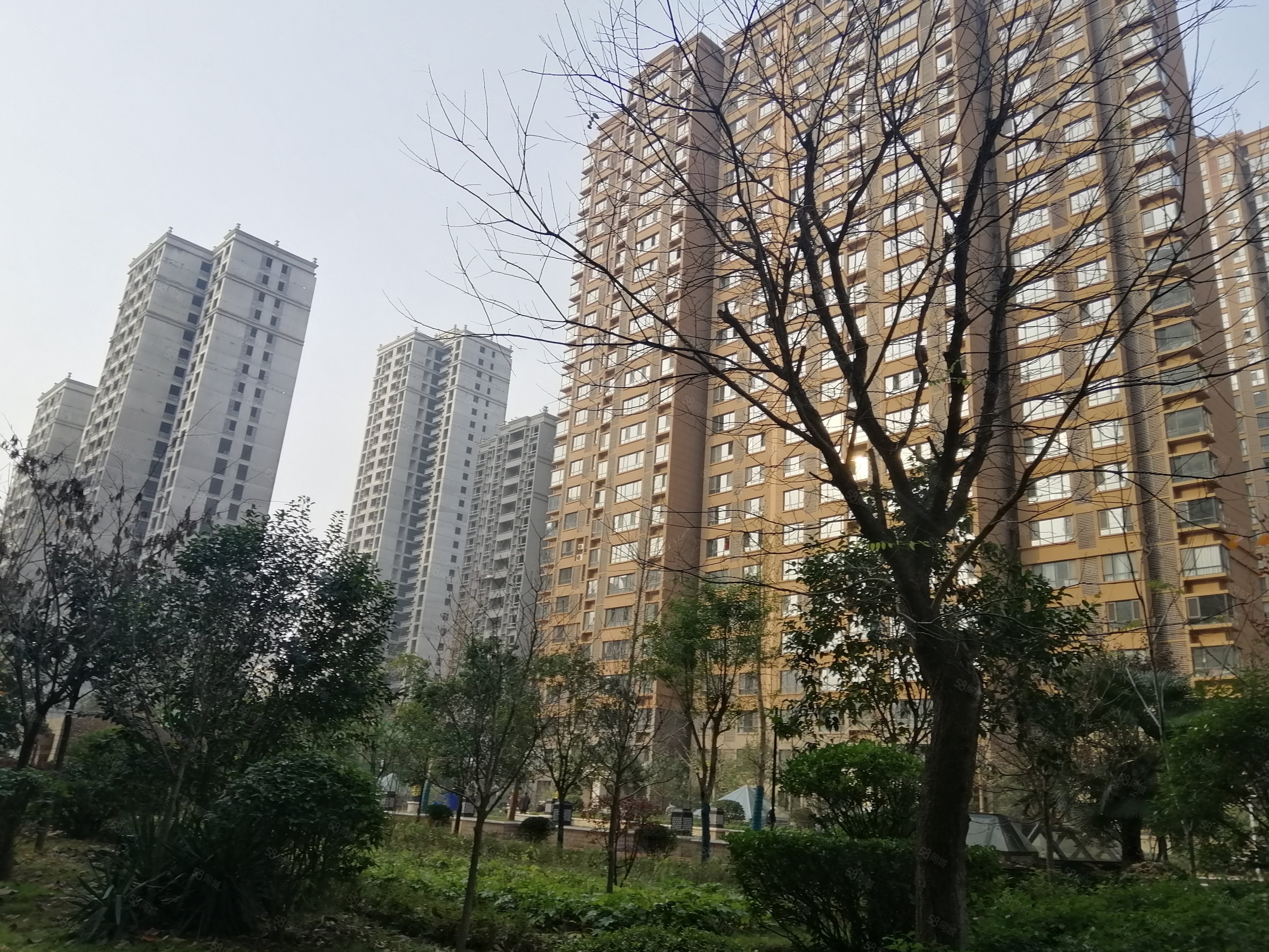 海兴城-渭南58同城