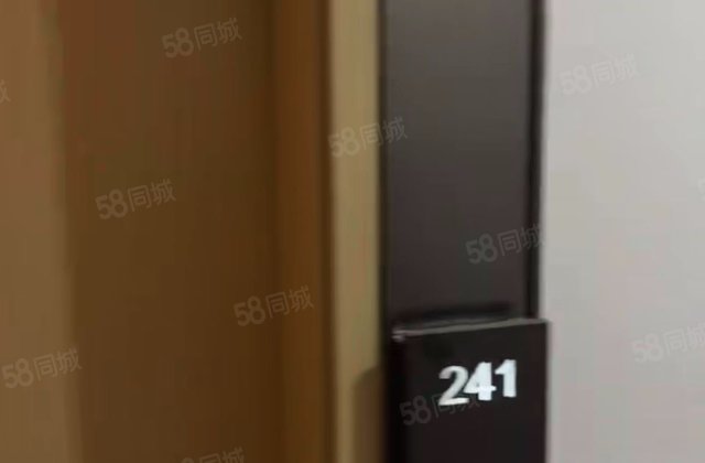 中建灯湖领秀1室0厅29.96㎡36万二手房图片