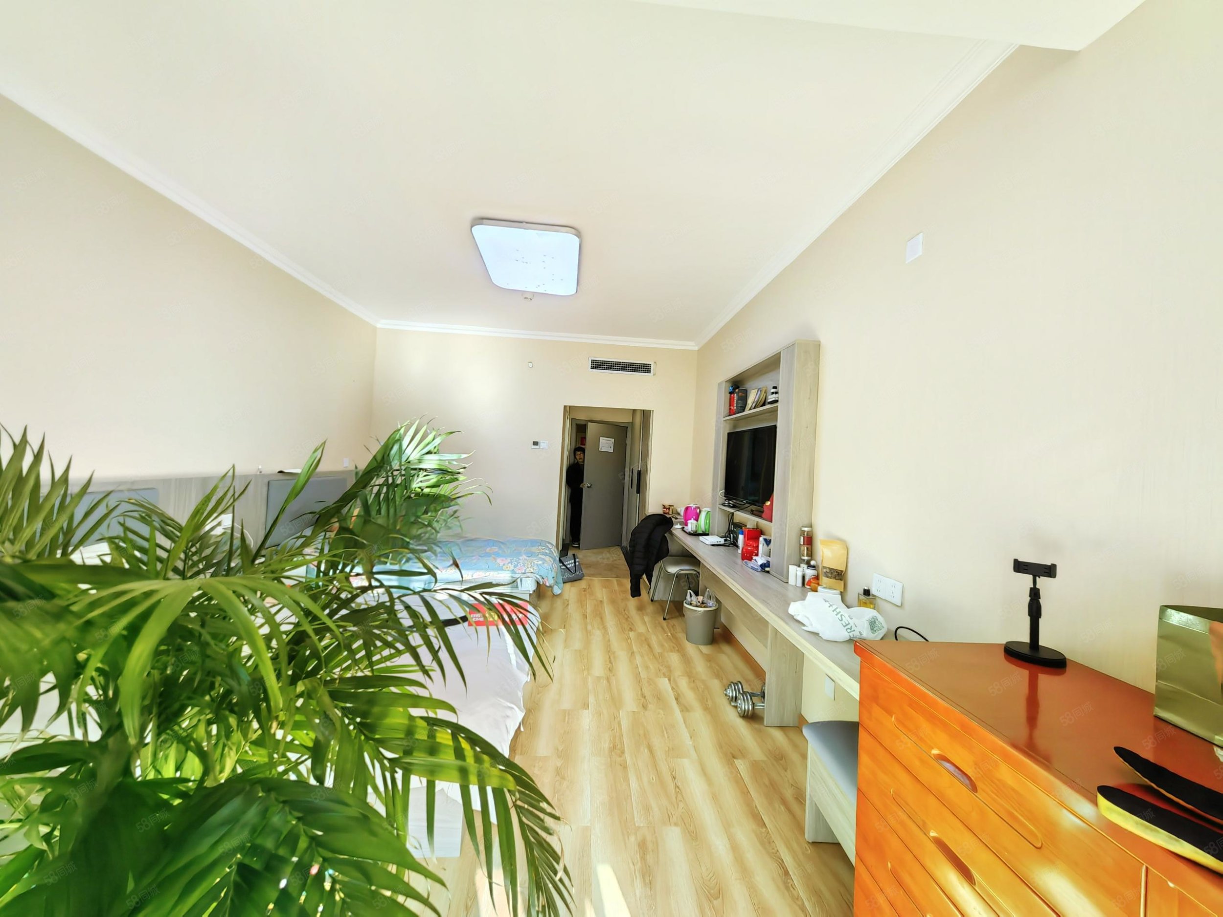 快樂(lè)假日1室0廳1衛(wèi)42.58㎡南北23萬(wàn)