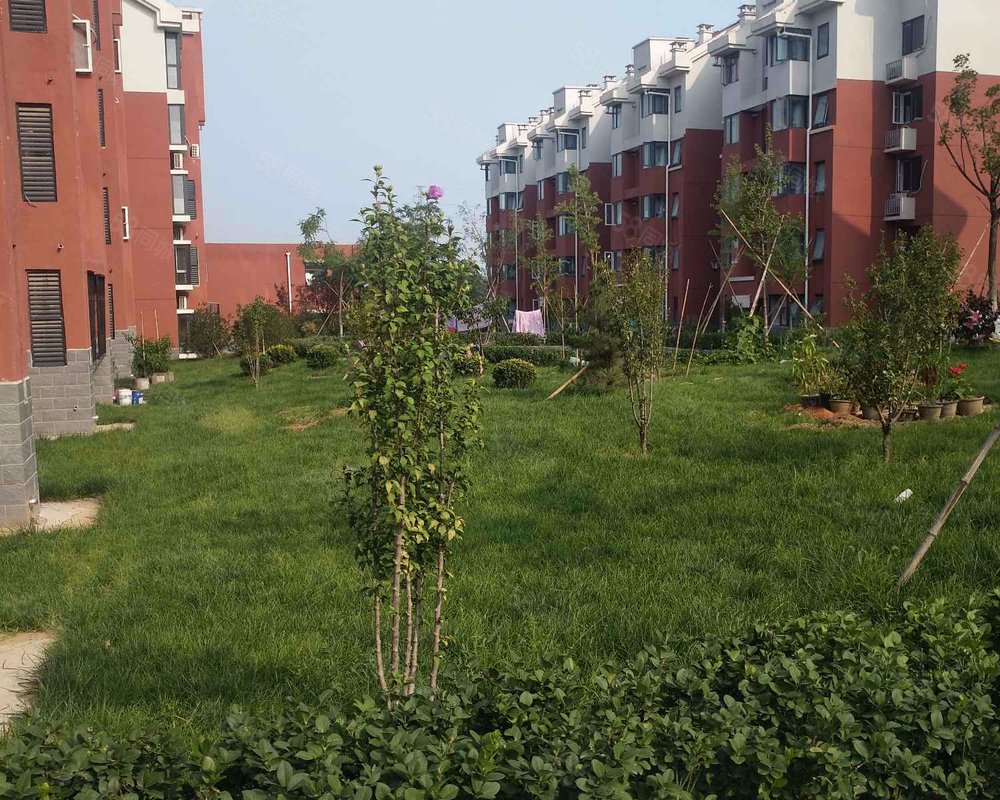 【鑫湖家园(c区), 鑫湖家园(c区)小区详情,房价走势,房源,业主论坛】