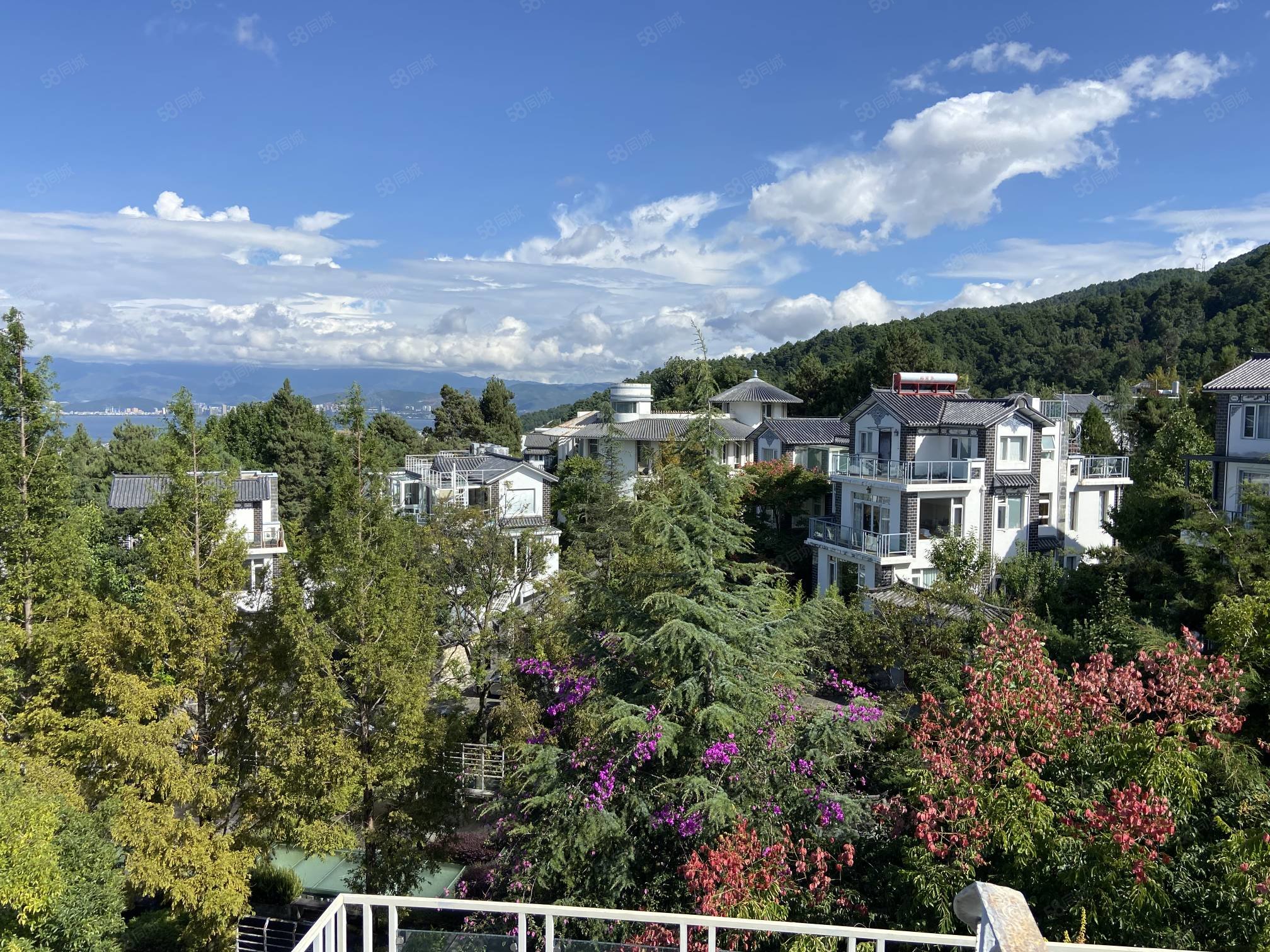 80平前后庭院 精装修国企开发,王宫别院(别墅)-大理58同城