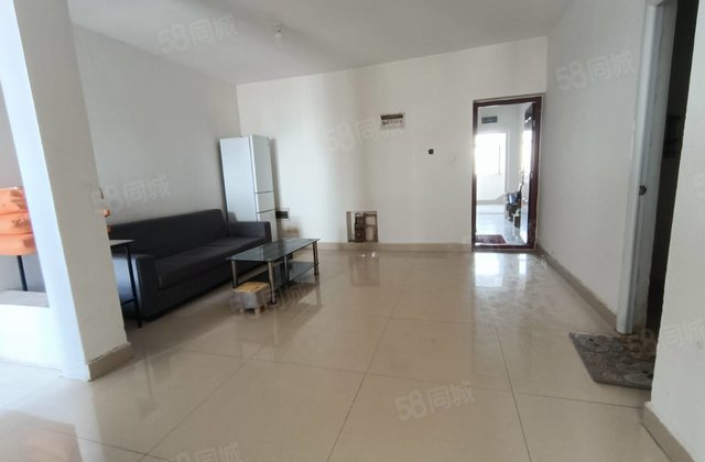 育新街  正鸿新天地！ 金鼎！老东昌！电梯