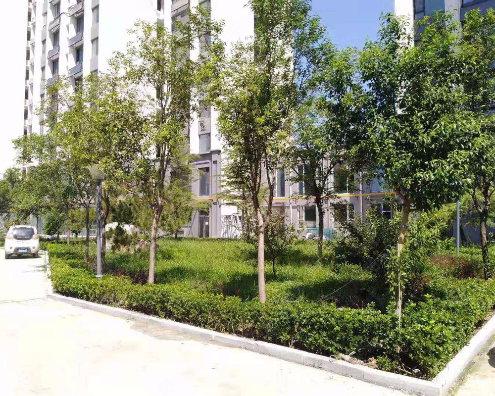 【祥泰花园, 祥泰花园小区详情,房价走势,房源,业主论坛】- 青州58