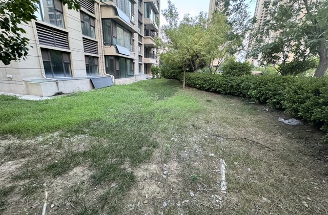 碧桂园翡丽湾  一楼带院子150平  送负一160平