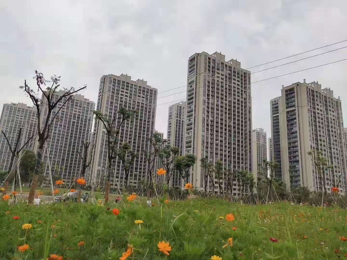 北下朱附近 金麟花园 大型小区 3房2卫 带车位,金麟花园-义乌58同城