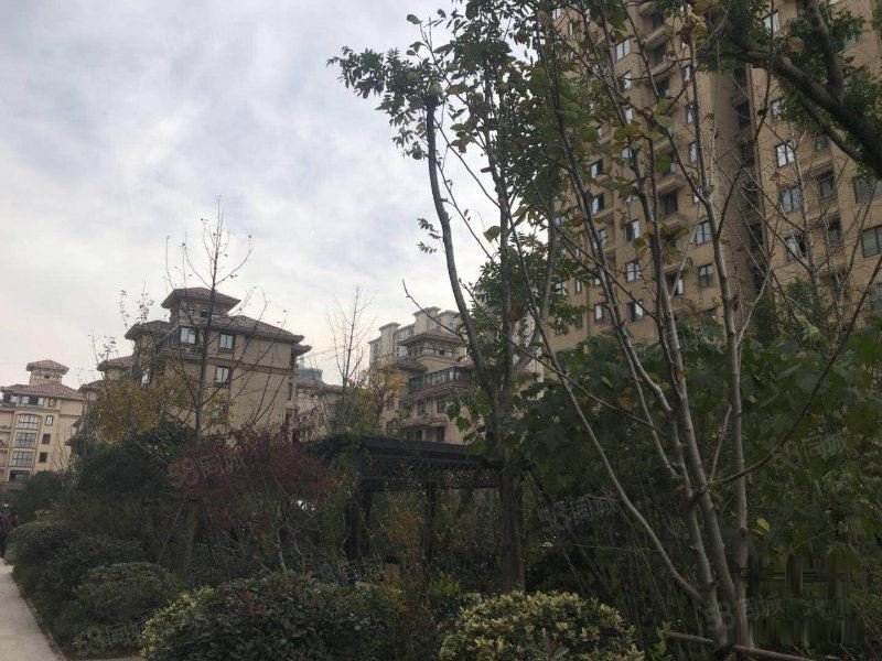 小城春秋(嘉善)