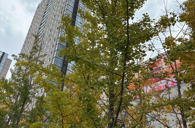 齐化家园2室1厅101.19㎡143万二手房图片