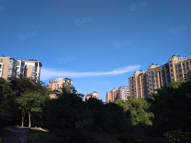 好楼层 户型方正 通透格局 小区中间 采光好,阅城国际花园悠然园-南京