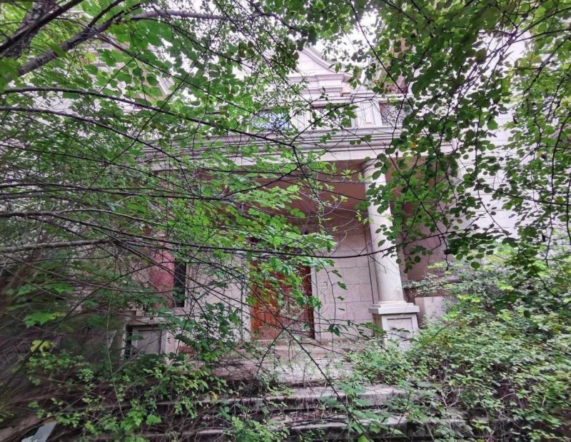 財富公館6室3廳7衛(wèi)1580㎡南北6300萬