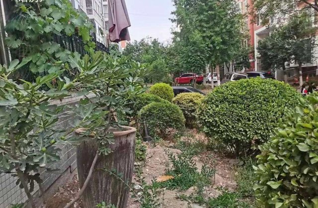 市医院中通三期，一楼一楼带院，125平104万，3室2厅！！