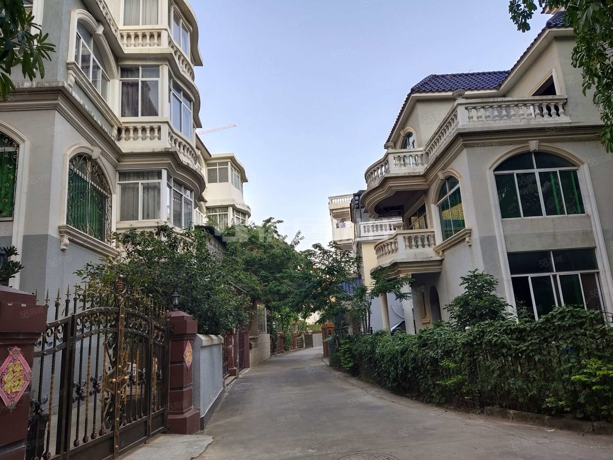 【10图】独栋大别墅前后大花园房子保养好,玫瑰园-南宁58同城