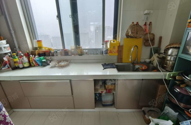 中央丽都 中央帝景 公园旁 大润发 免大税带车位随时看房