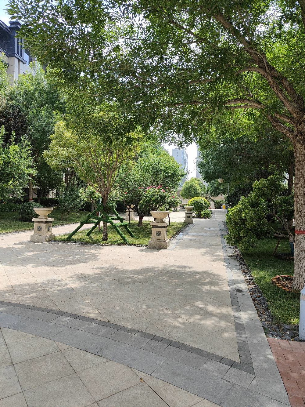 曙光三小 电梯洋房 南北通透5室5卫小区环境优美,阳光东尚香樟园-邯郸