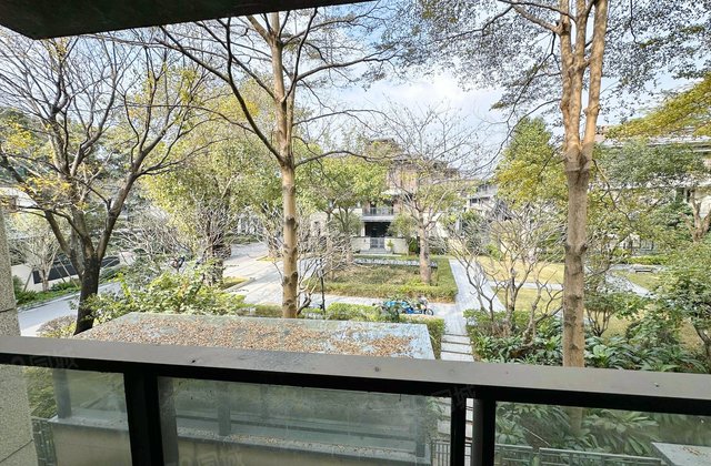 华侨城天鹅湖(别墅)5室2厅395.75㎡2100万二手房图片