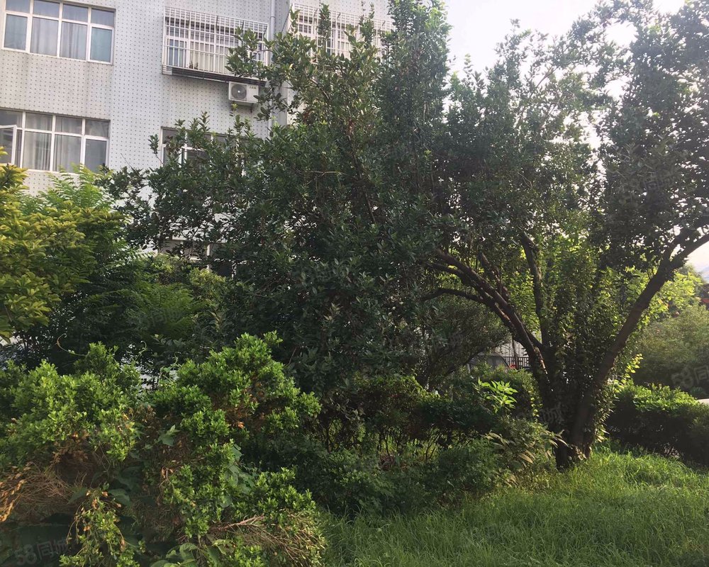 【陈家庄居民区, 陈家庄居民区小区详情,房价走势,房源,业主论坛】