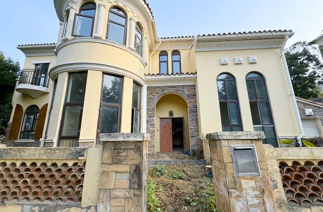 棕榈湖国际社区(别墅)5室3厅337.61㎡220万二手房图片