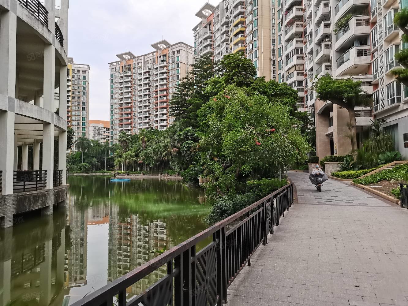 【10图】东田丽园丽湖轩 高楼层 朝向好 绿化率高 居住舒适安静,东田