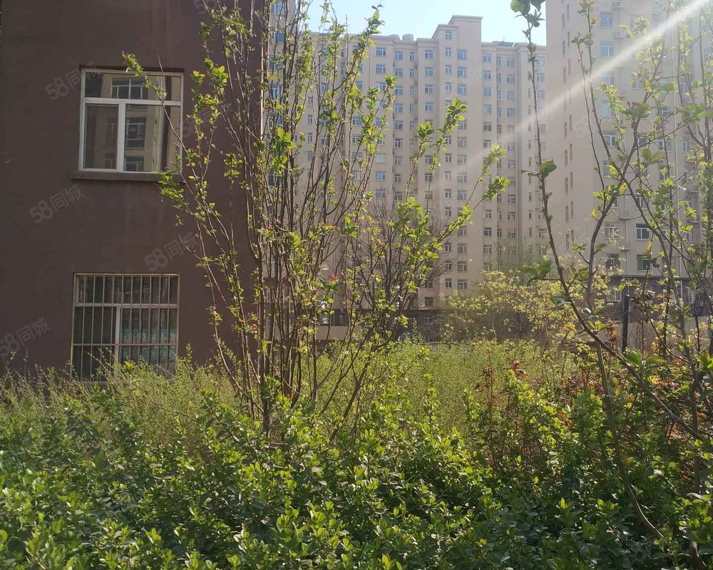 【大川世纪城, 大川世纪城小区详情,房价走势,房源,业主论坛】- 河间