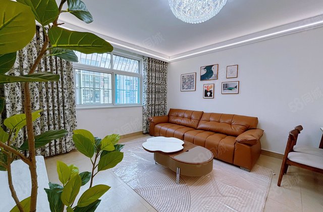 望湖一区 实验 西文轩 精装修 送家具 南北通透户型方正