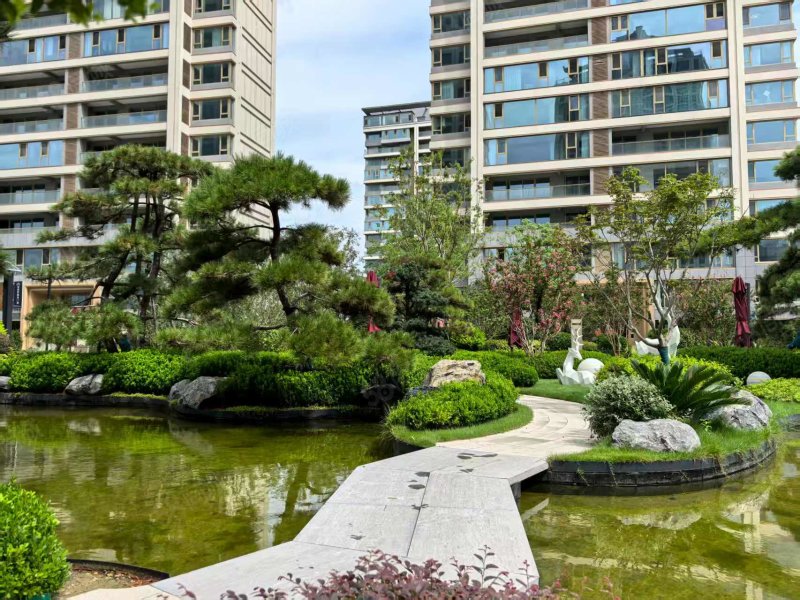 五十万一  西北高档小区青山澜岛二期小高层中层好房型现房