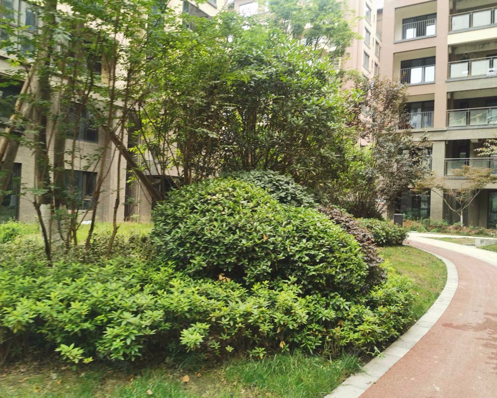 【合能枫丹铂麓三期, 合能枫丹铂麓三期小区详情,房价走势,房源,业主