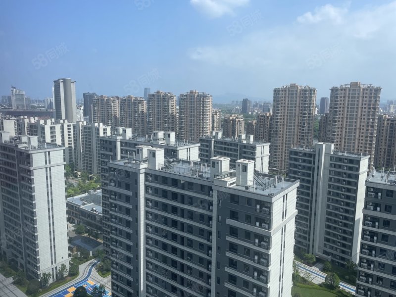 江景房 精装交付 带车位 西边套 四开间朝南,保利天汇-金华58同城