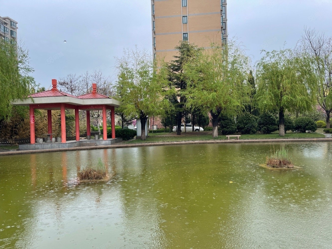 房主疯了三室两卫132还能谈带刀看房价格超惊喜星海花园