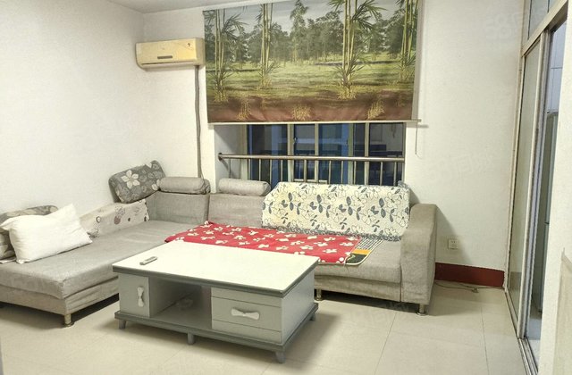 新上 财干路  桐枫家园  步梯地暖房  西边户  南北通透