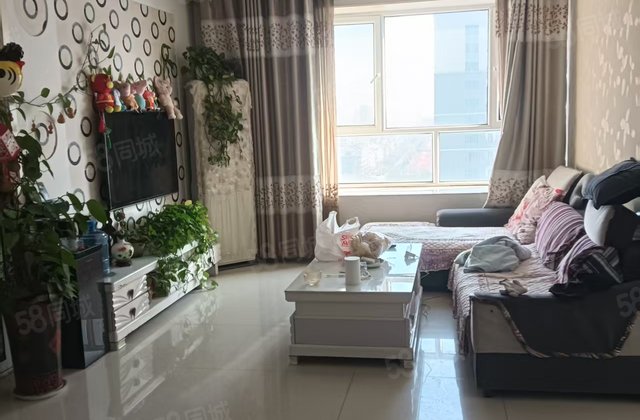 金柱大学城 东边户 业主急售 3室2厅 电梯房 精装修 满五