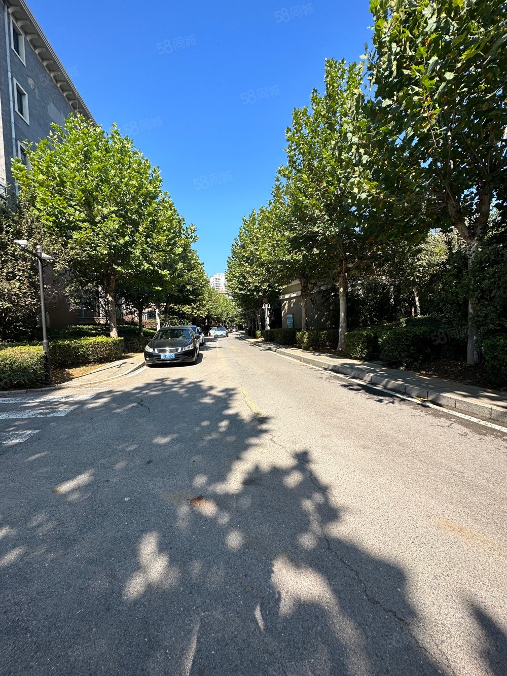 森林逸城别墅专卖年底急用钱抄底出售一跃二带双花园