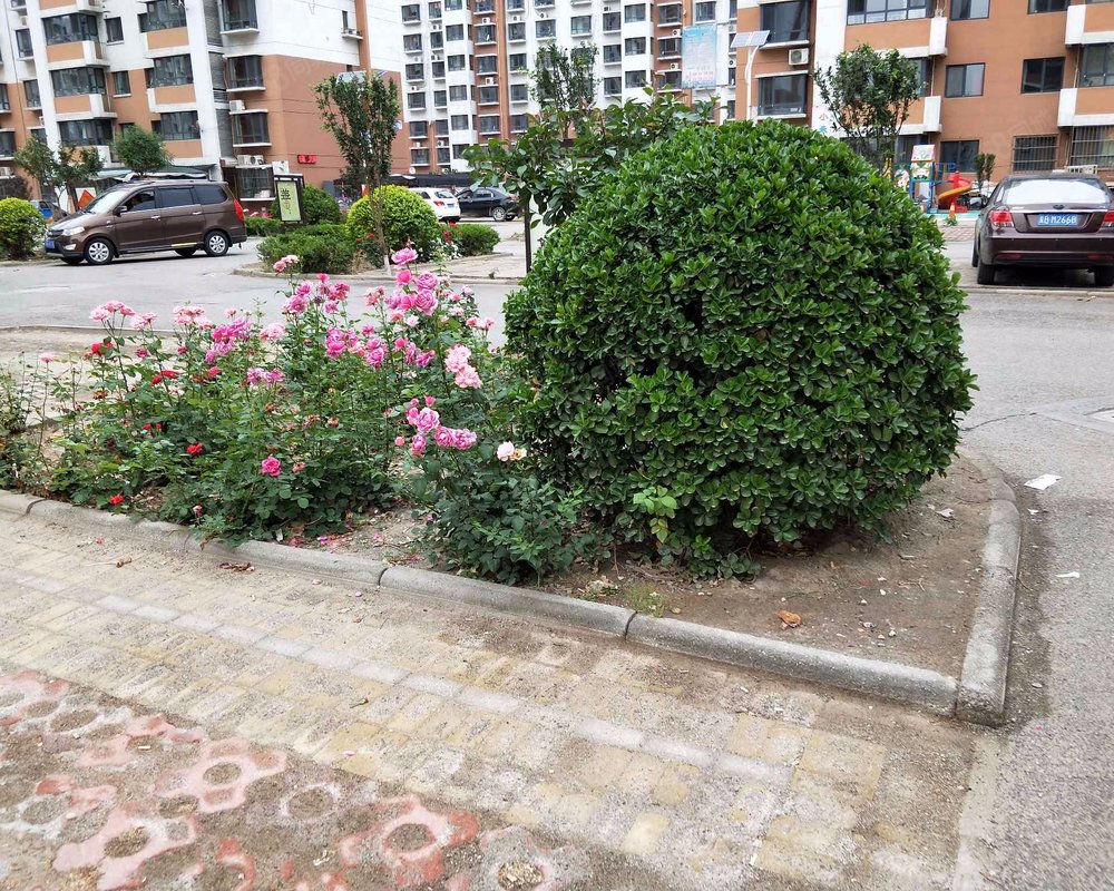 【兴苑家园, 兴苑家园小区详情,房价走势,房源,业主论坛】- 天津58