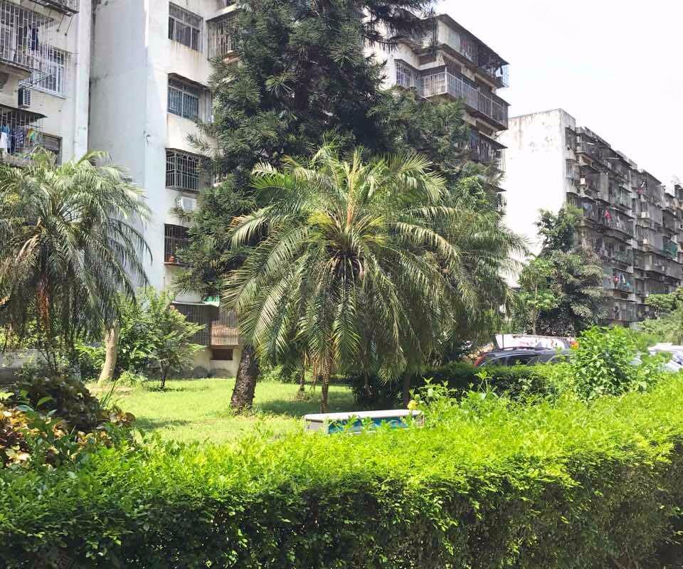 【红荔村住宅区, 红荔村住宅区小区详情,房价走势,房源,业主论坛】