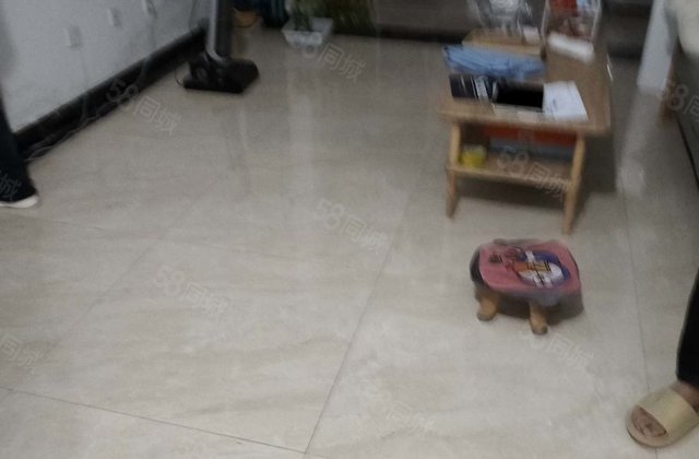 东关国际东区三室文轩中学河东  外国语八中聊城大学人民公园