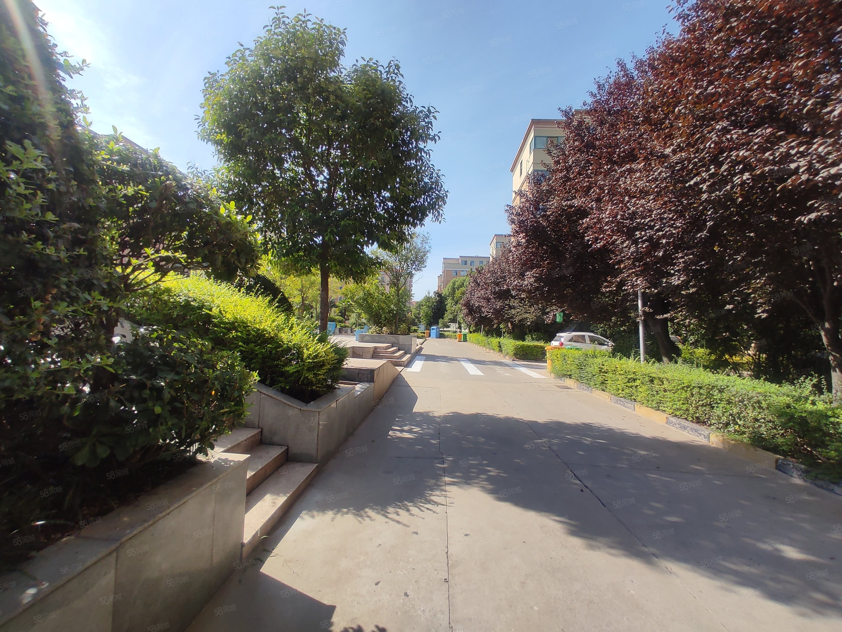 睿智花园2室2厅1卫92㎡南北82万