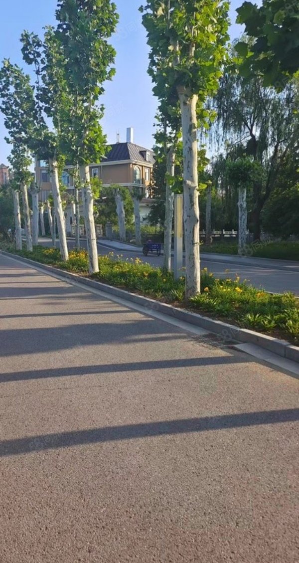 水色時光別墅4室2廳4衛(wèi)291.99㎡南北527萬