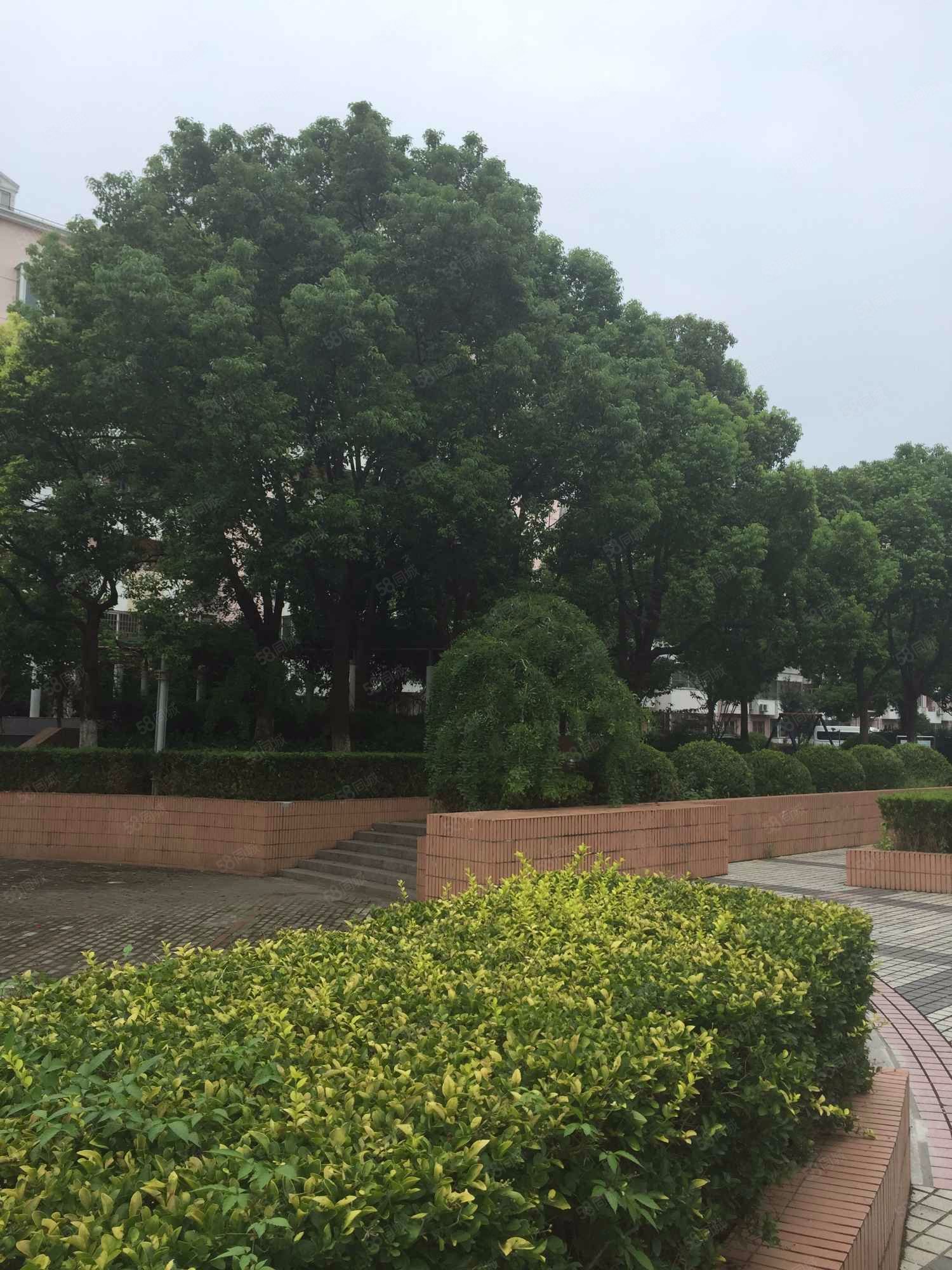 龙源星城1室1厅1卫46㎡北90万