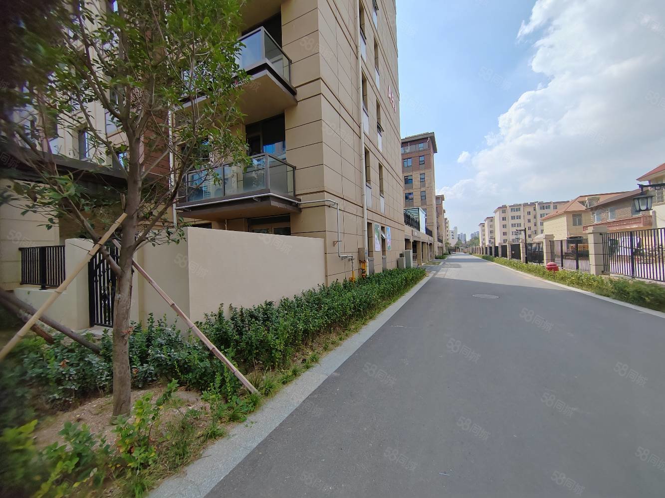 金港华府4室2厅2卫160㎡南北155万