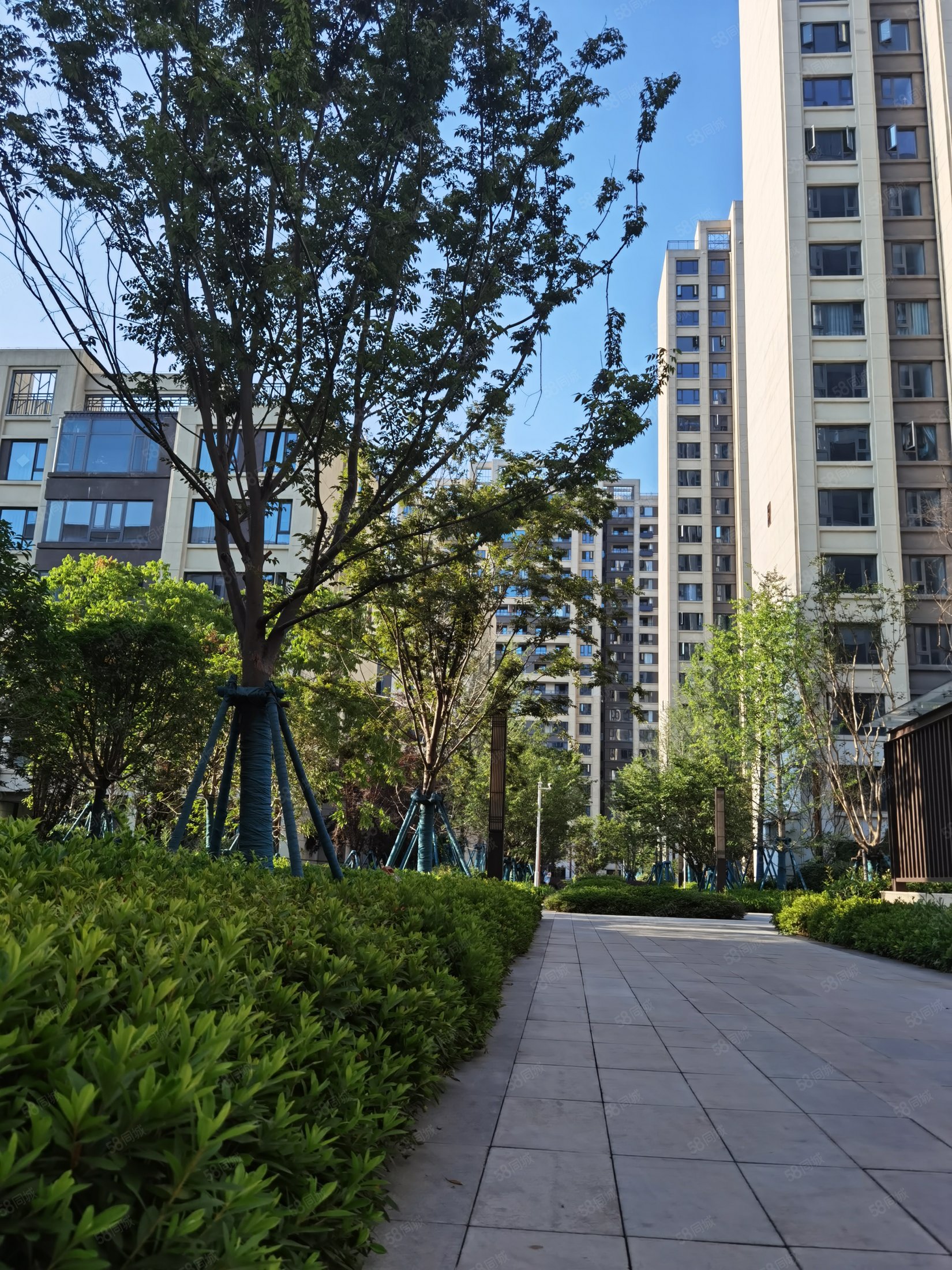 正荣紫阙台 345万167平米4居室 全款优先 急急急,正荣紫阙台-武汉58