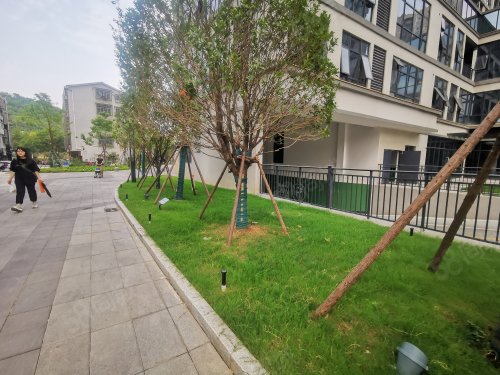 【梦想枫林湾(商住楼)房价走势,梦想枫林湾(商住楼)房屋出租,梦想枫林