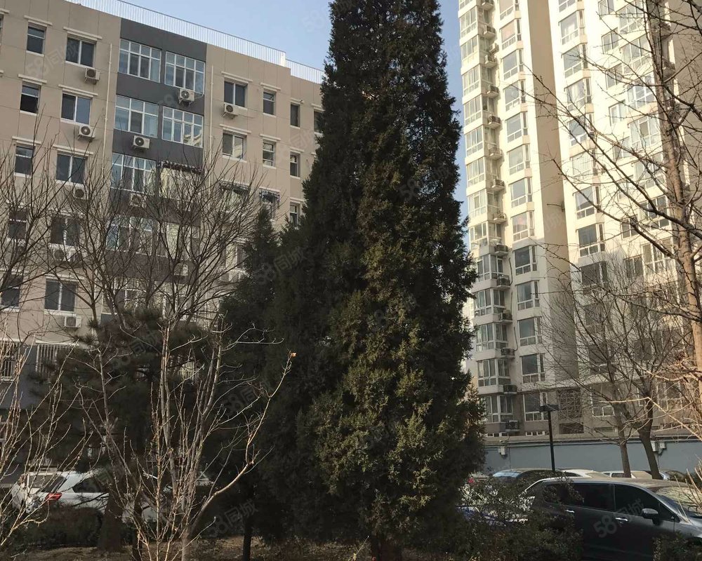 社科院太阳宫小区