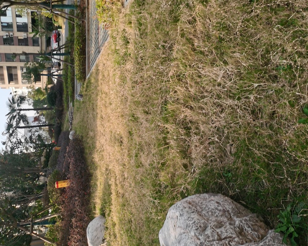 当阳景城花园