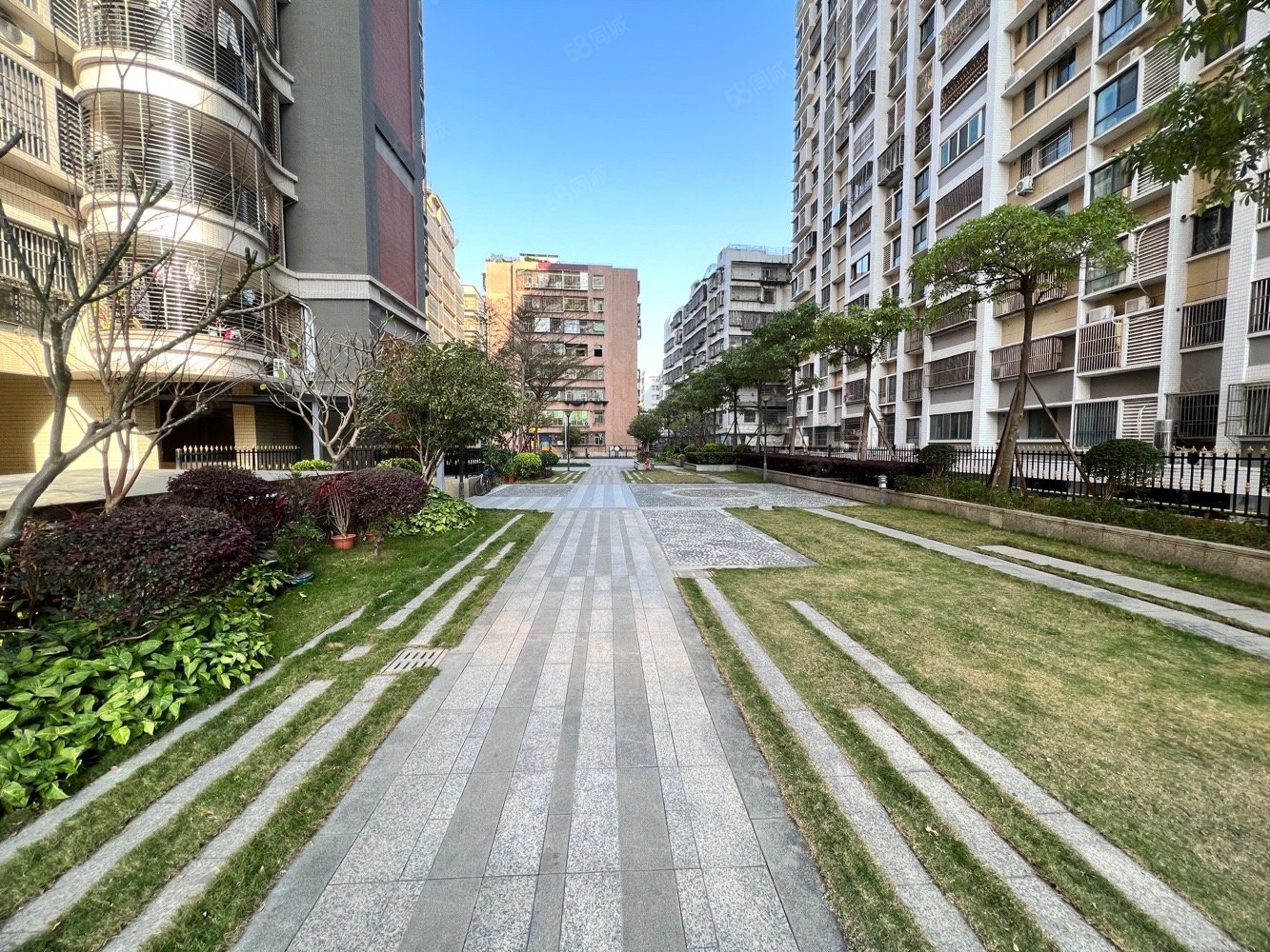 金都花园二期 毛胚三房 7350元一平 南北通透,金都花园-揭阳58同城
