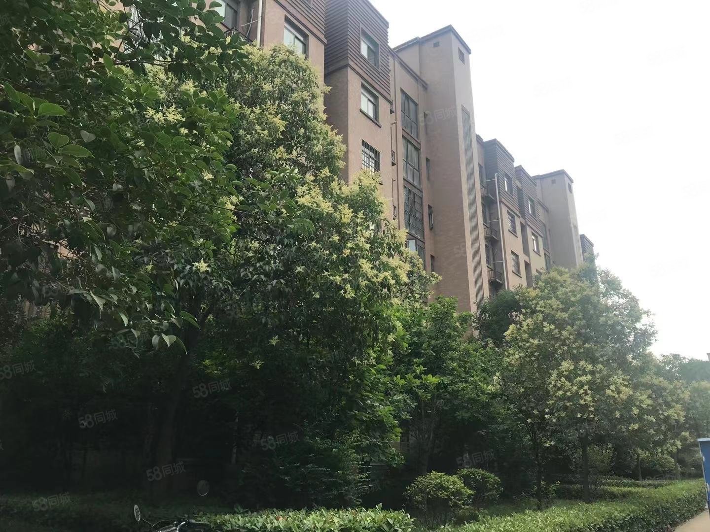 地铁房 精装修 带地暖 80平 59万 好楼层,龙湖御景-郑州58同城