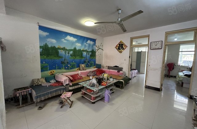 区妇幼 3楼 实验 杨明 金城南区 好停车 眼科医院城市