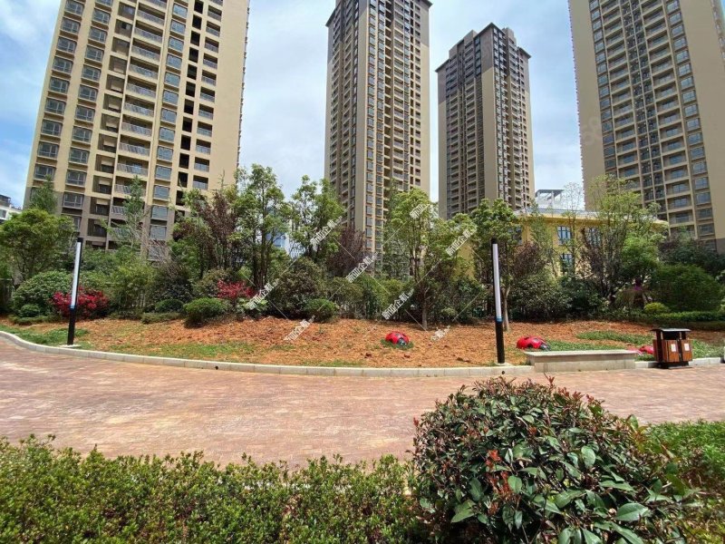 红云精装东北碧桂园都荟93万1061平3房18楼