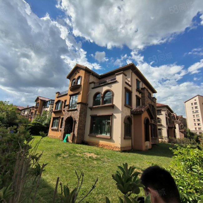 北部新洲莱茵别墅8室3厅7卫540㎡南北396万