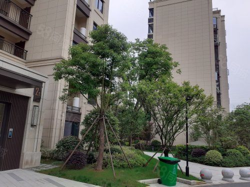 中南新悦府房屋出租,中南新悦府二手房出售】- 诸暨58同城