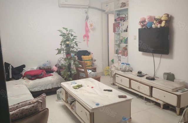 真实在售 带车位储藏室 建设路董付小区划滨河实验 两居室